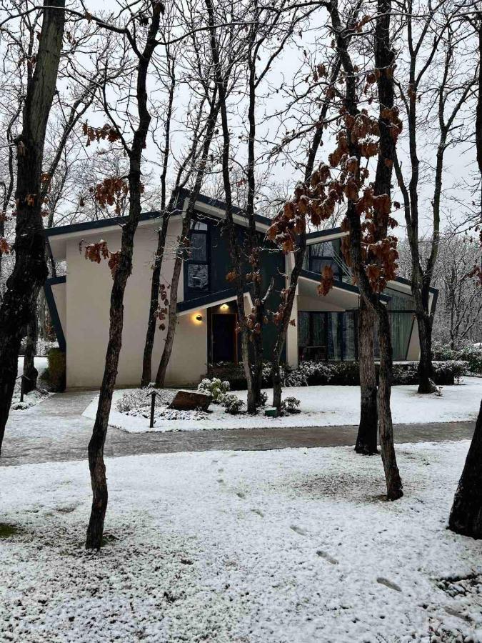 Utopia Forest Burgas Esterno foto